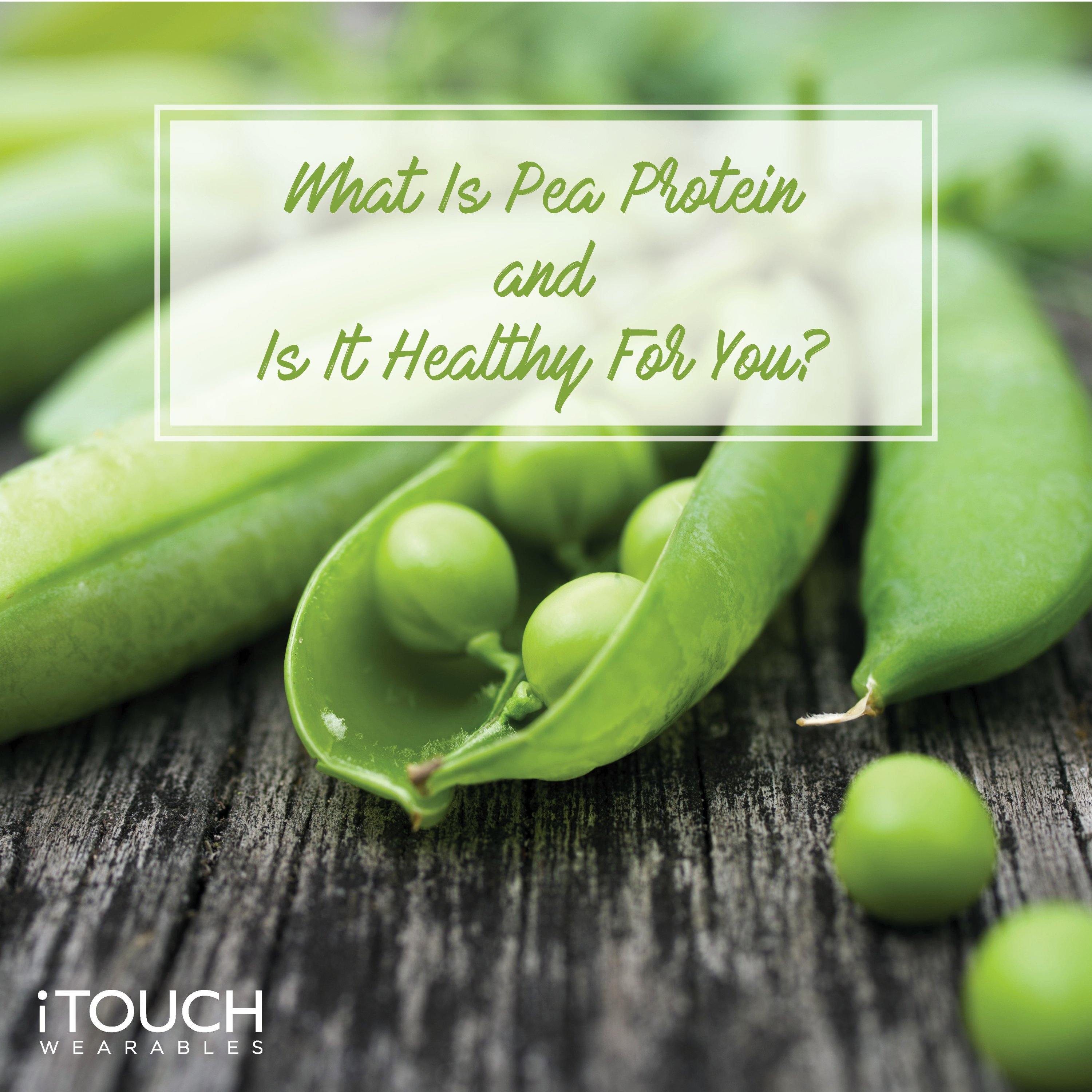 What Is Pea Protein and Is It Healthy For You? - iTOUCH Wearables
