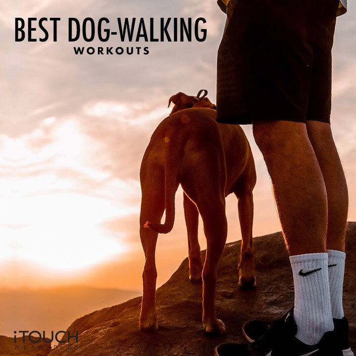Best Dog-Walking Workouts