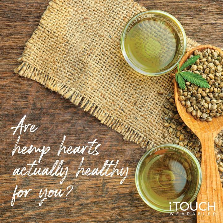 Are Hemp Hearts Actually Healthy For You? - iTOUCH Wearables
